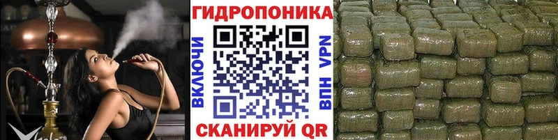 Alpha PVP Оса
