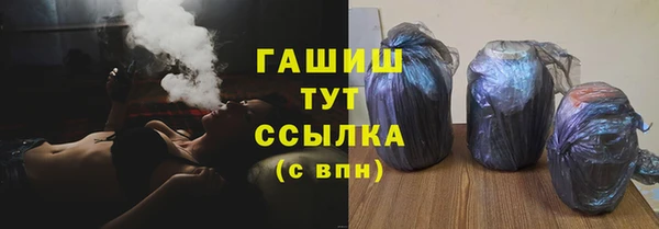 гашик Мегион
