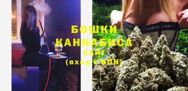 гашик Мегион