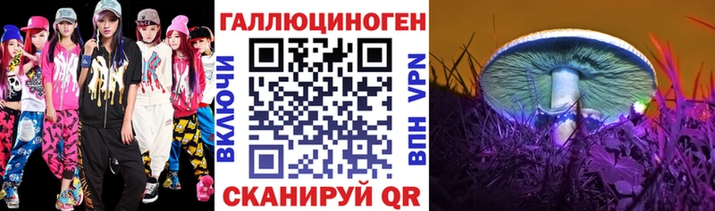 даркнет сайт  blacksprut онион  Псилоцибиновые грибы ЛСД  Оса 